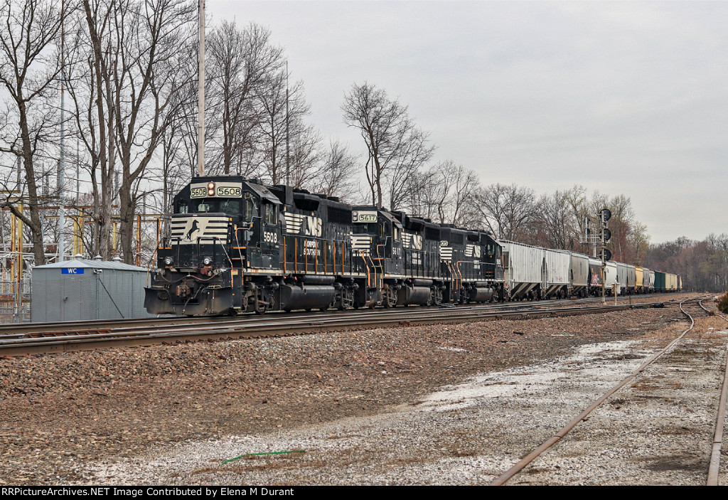 NS 5608 on H-55